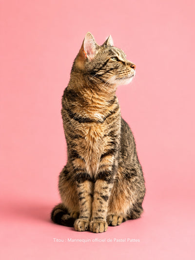 Titou